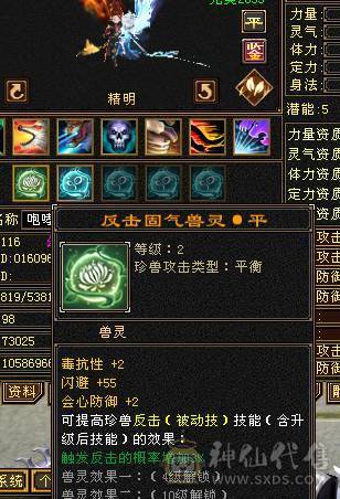 🍎余生推荐🍎双修极限5+8雕纹+赤兔马+3级幻视，背饰，两个新幻视已安排