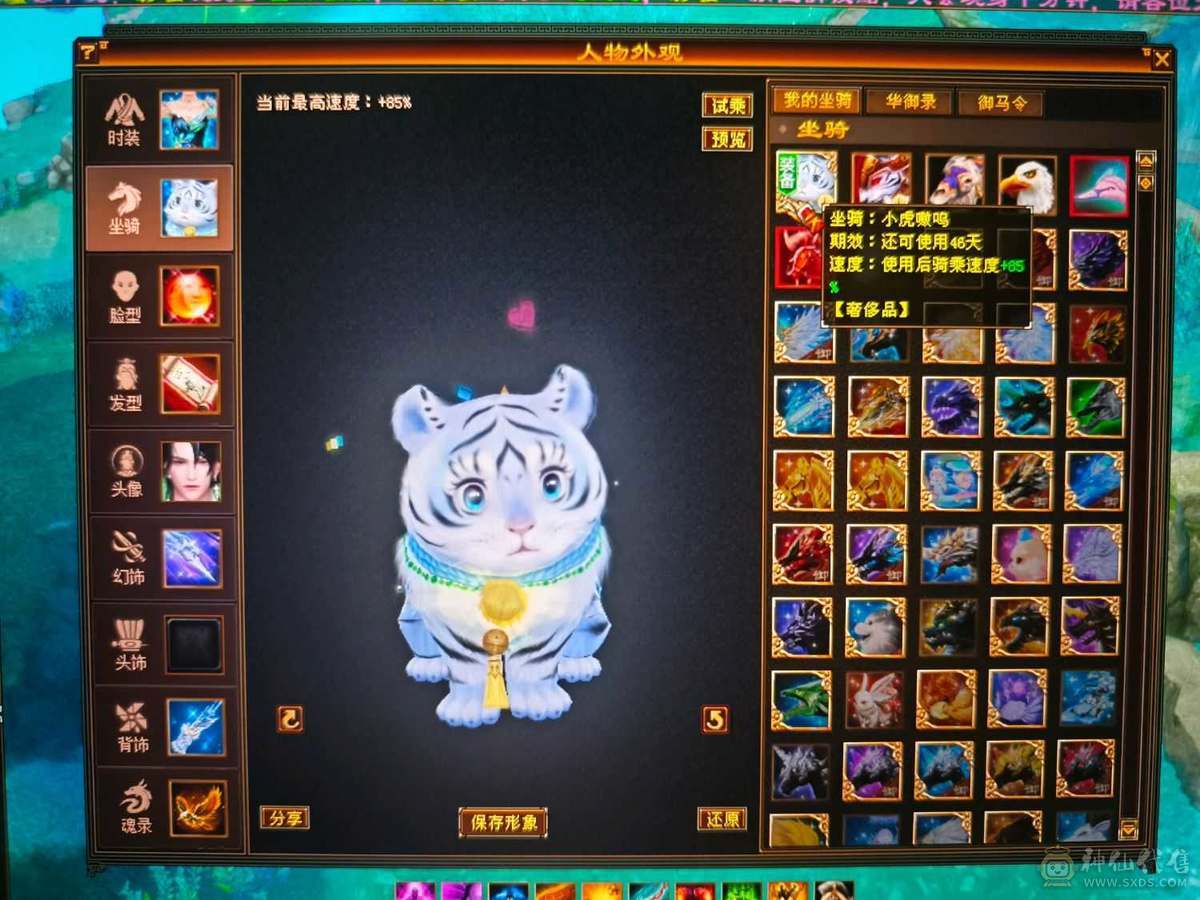 精品四修高会心少林    极品宝宝   端午节特惠价格差不多就出了