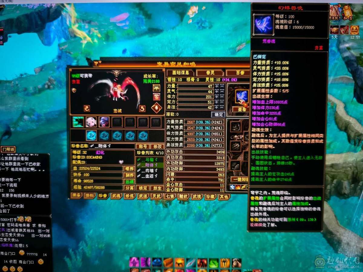 精品四修高会心少林    极品宝宝   端午节特惠价格差不多就出了