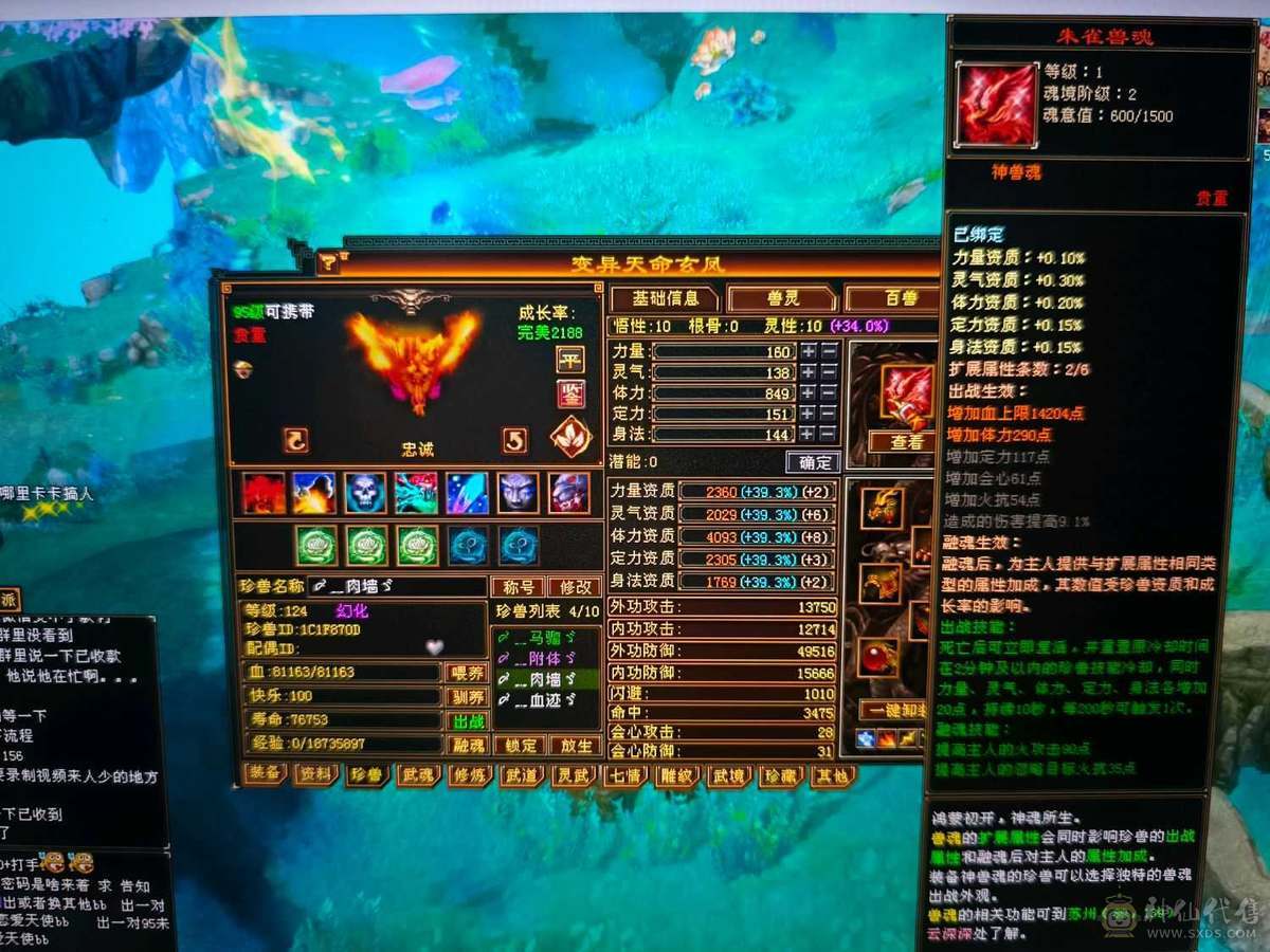 精品四修高会心少林    极品宝宝   端午节特惠价格差不多就出了