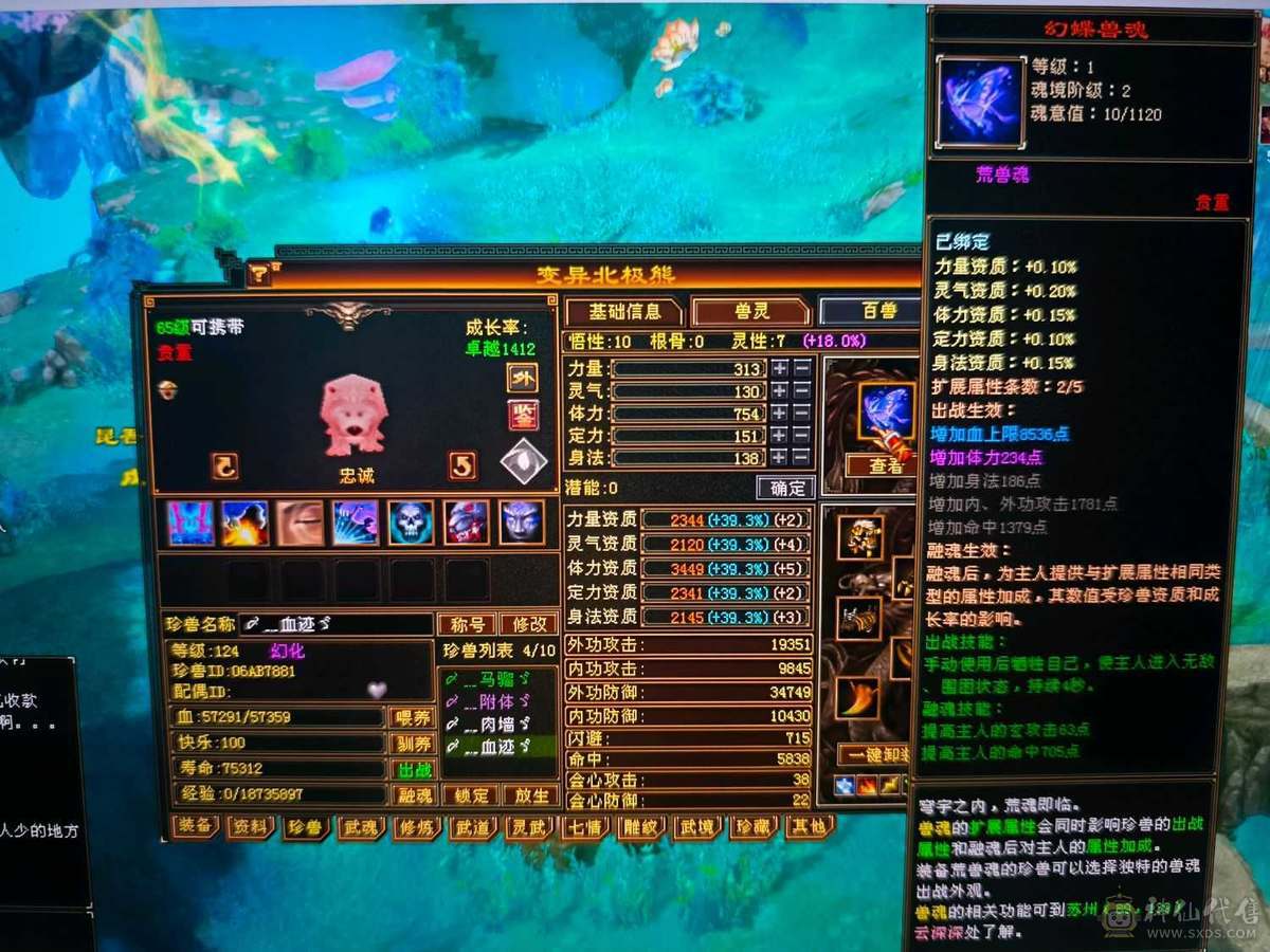 精品四修高会心少林    极品宝宝   端午节特惠价格差不多就出了
