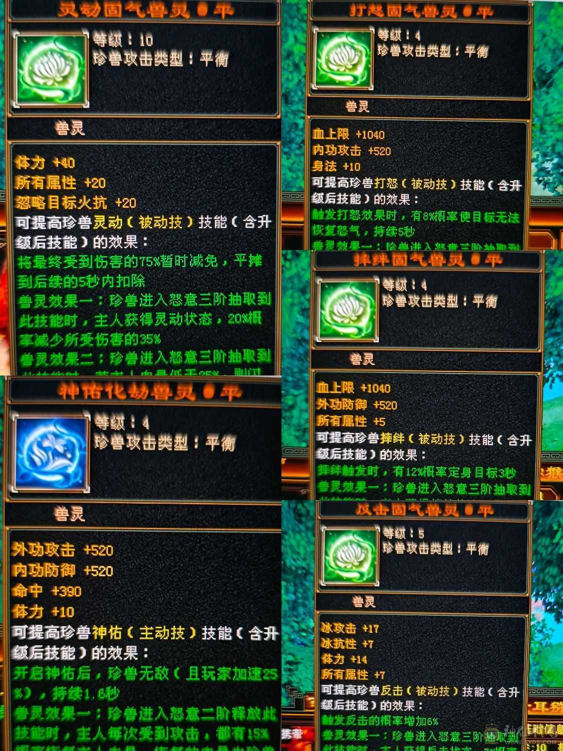 精品四修高会心少林    极品宝宝   端午节特惠价格差不多就出了