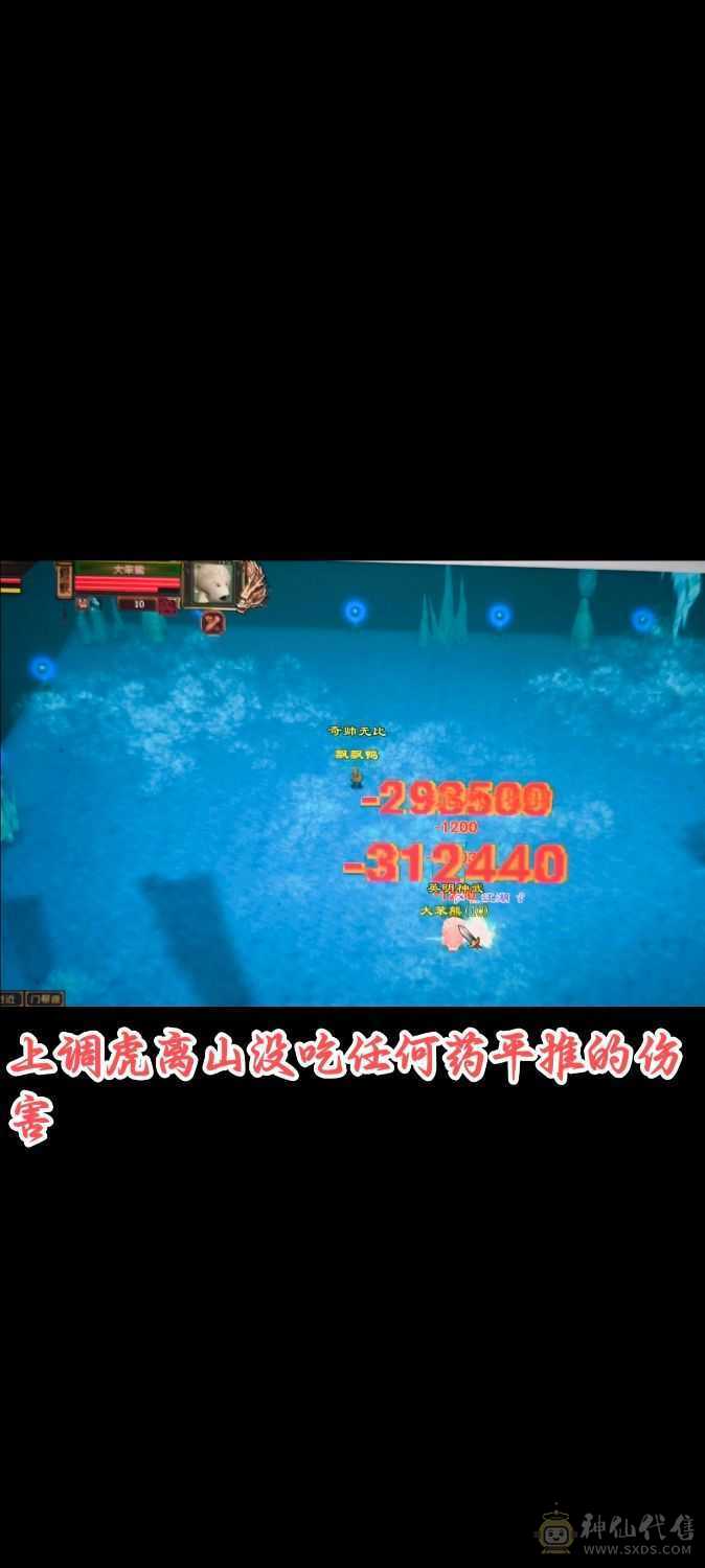 精品四修高会心少林    极品宝宝   端午节特惠价格差不多就出了