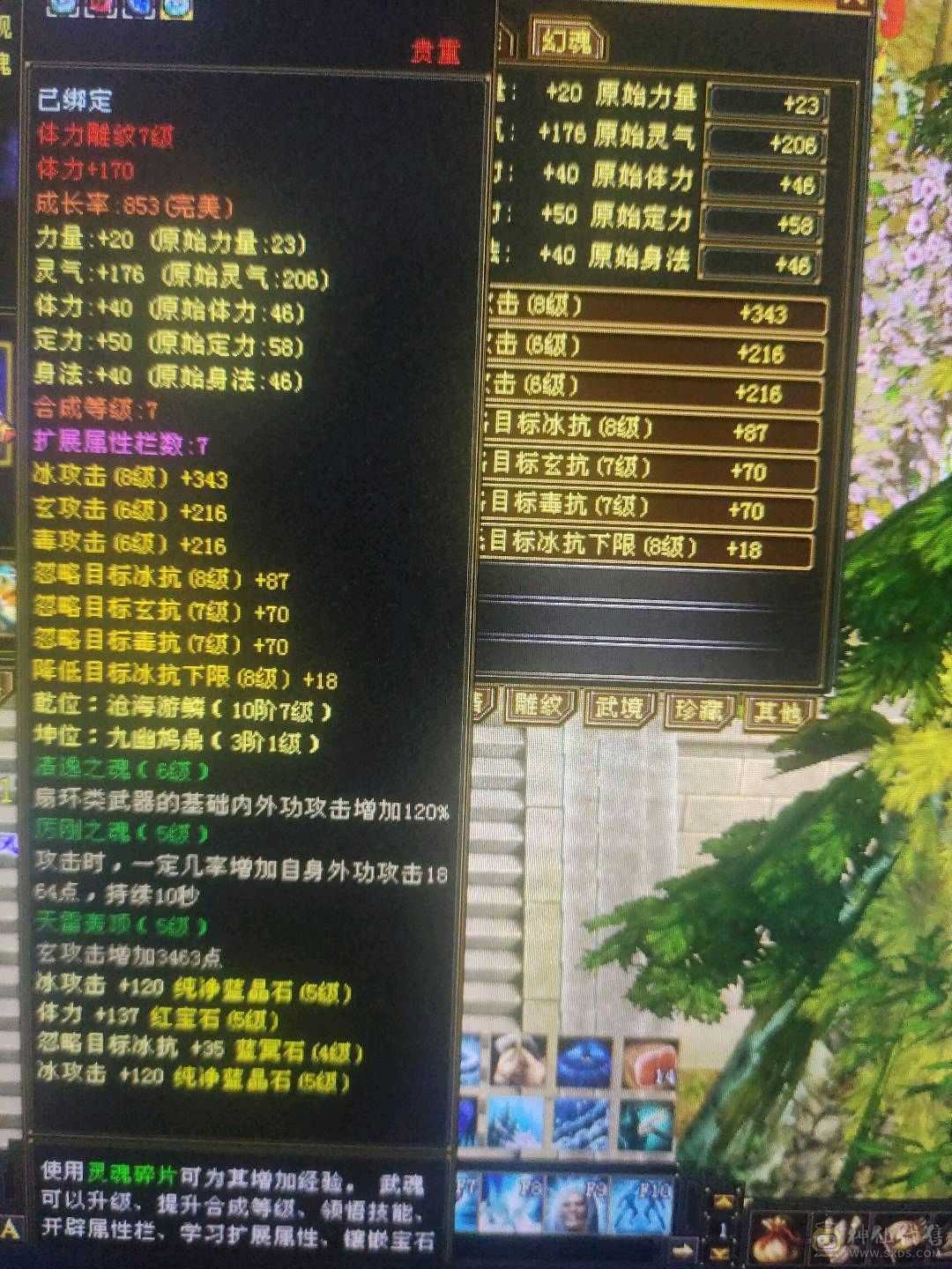 满5身法天山