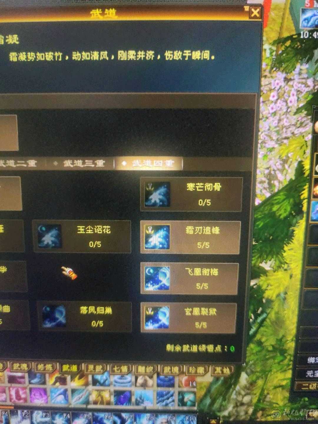 满5身法天山