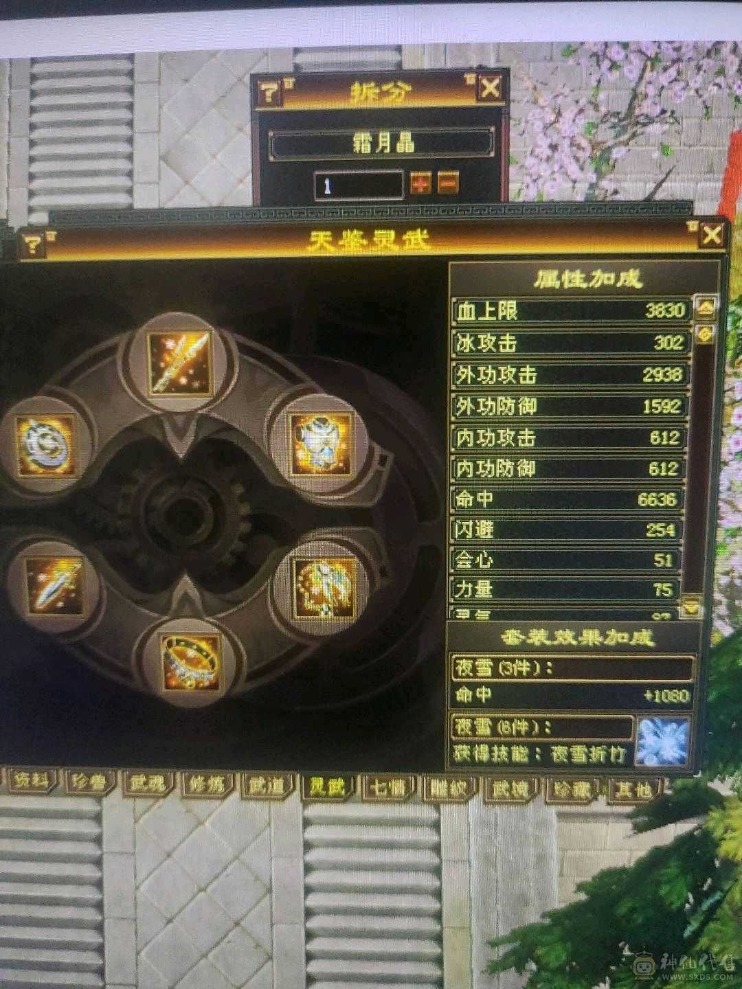 满5身法天山