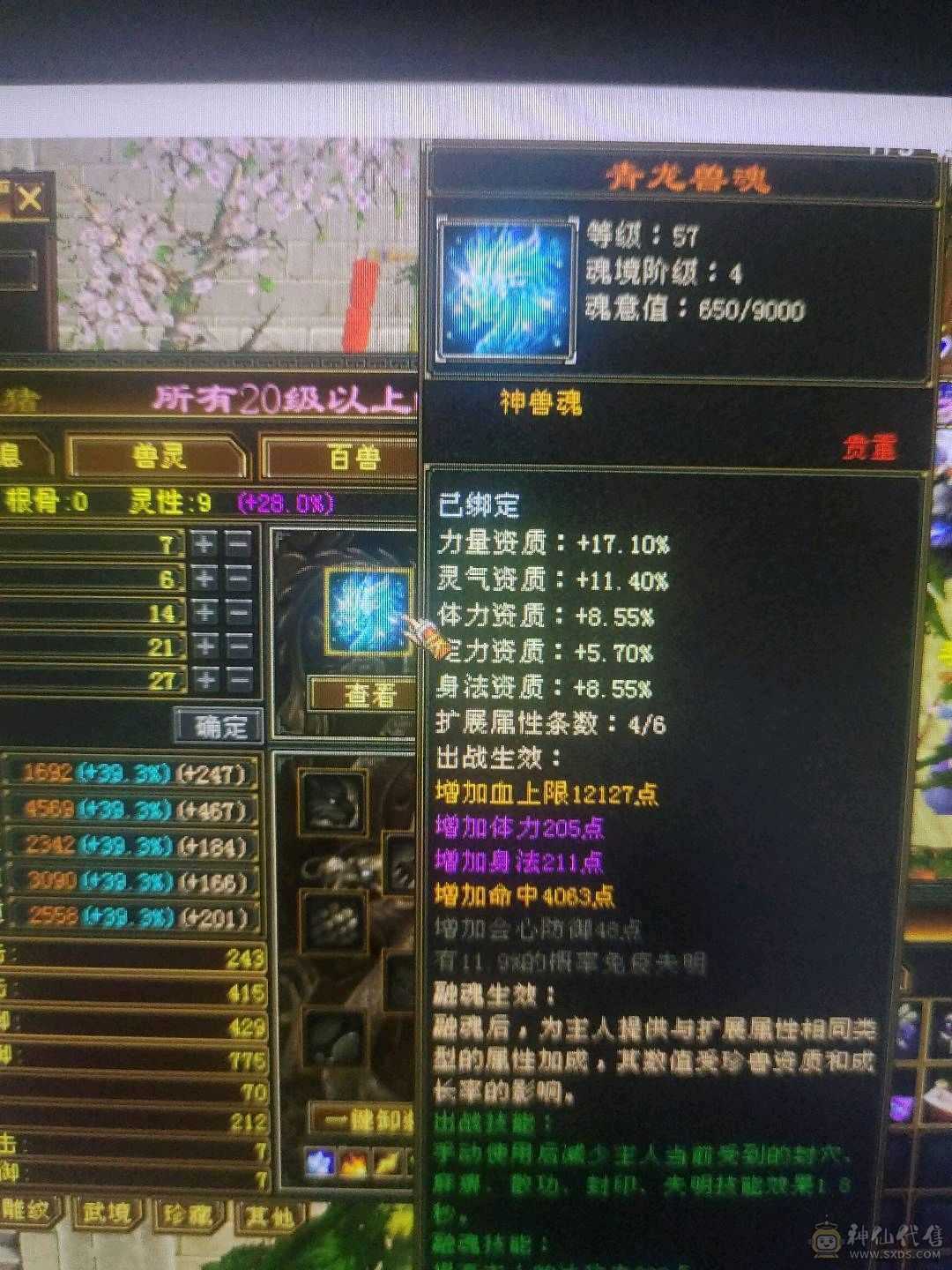 满5身法天山