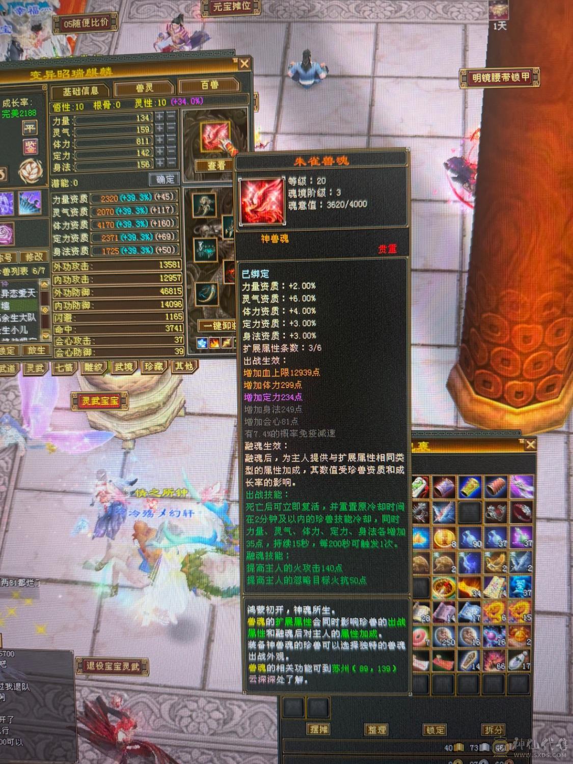 40w血18w气极限气武当吊打6级号螺面板