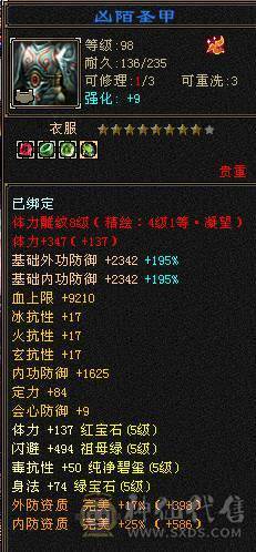🍎余生推荐🍎全服逍遥5级第一人面板，满5满8雕 完美5神逍遥装备细节