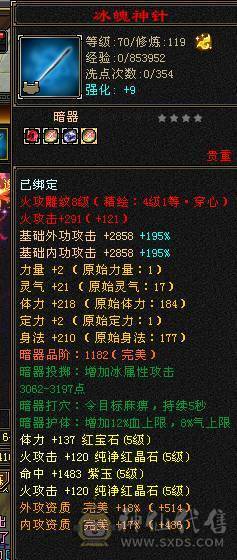 🍎余生推荐🍎全服逍遥5级第一人面板，满5满8雕 完美5神逍遥装备细节