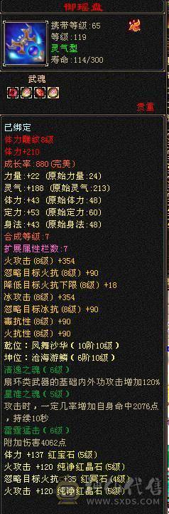🍎余生推荐🍎全服逍遥5级第一人面板，满5满8雕 完美5神逍遥装备细节