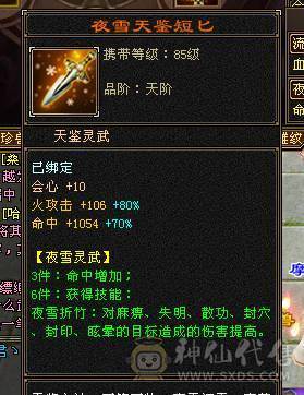 🍎余生推荐🍎全服逍遥5级第一人面板，满5满8雕 完美5神逍遥装备细节