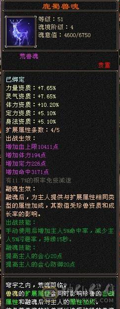 精品小天山 高性价比
