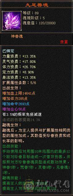 高血高抗，多时装多幻世，玄武朱雀魂录，5神6荒，9级盟会