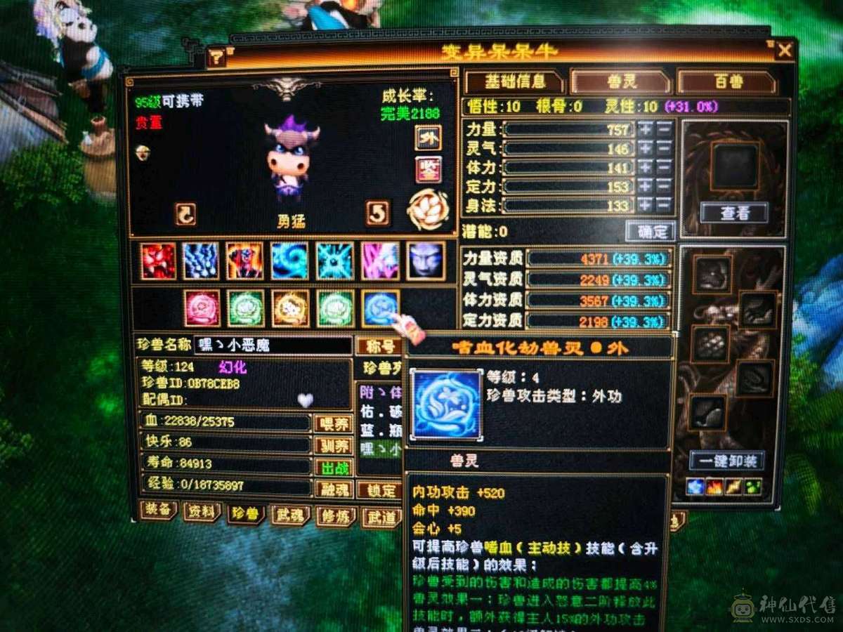 红熊王、金箍棒、满六体半六属性精品上千毒抗的四抗少林 能抗能打
