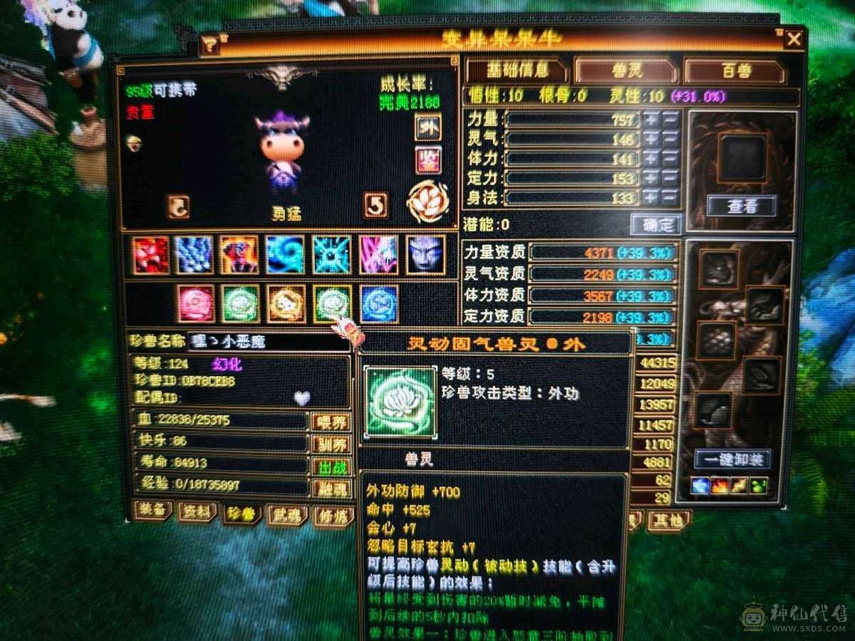 红熊王、金箍棒、满六体半六属性精品上千毒抗的四抗少林 能抗能打