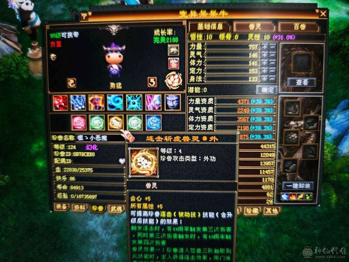 红熊王、金箍棒、满六体半六属性精品上千毒抗的四抗少林 能抗能打