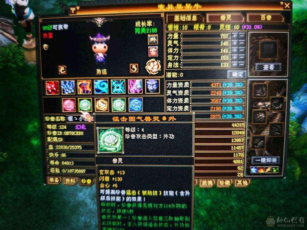 红熊王、金箍棒、满六体半六属性精品上千毒抗的四抗少林 能抗能打