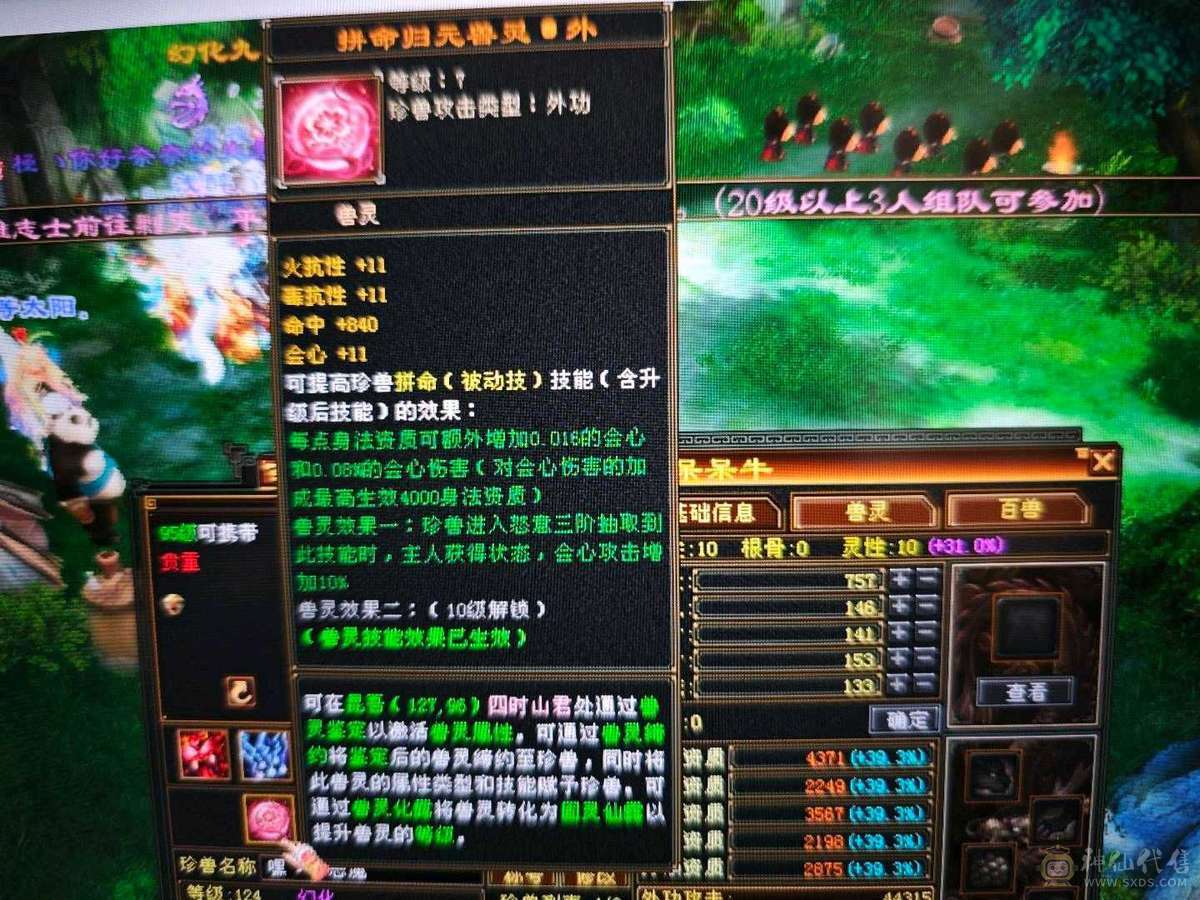 红熊王、金箍棒、满六体半六属性精品上千毒抗的四抗少林 能抗能打
