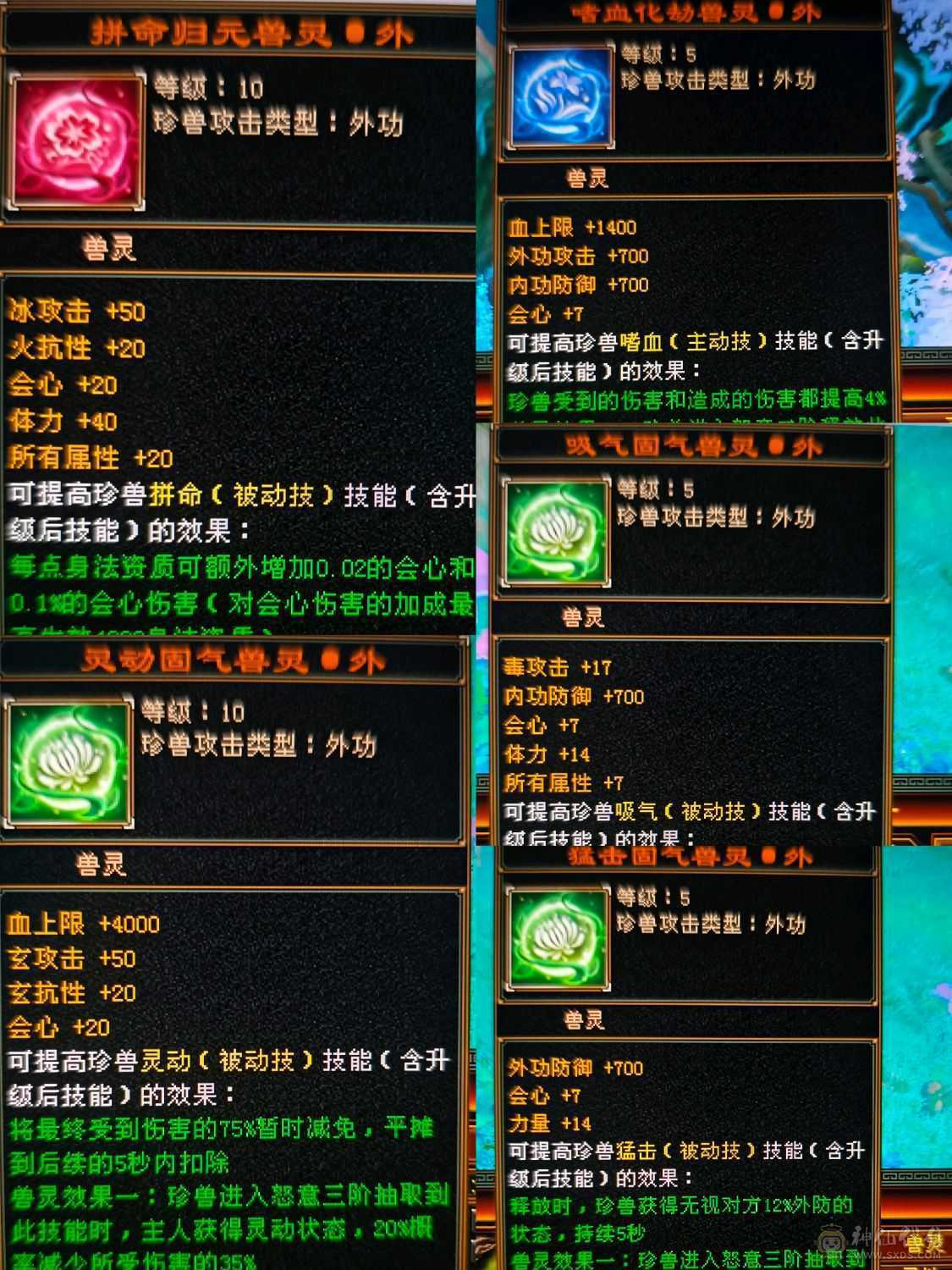 精品四修高会心少林    极品宝宝   端午节特惠价格差不多就出了
