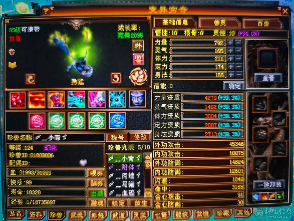 精品四修高会心少林    极品宝宝   端午节特惠价格差不多就出了