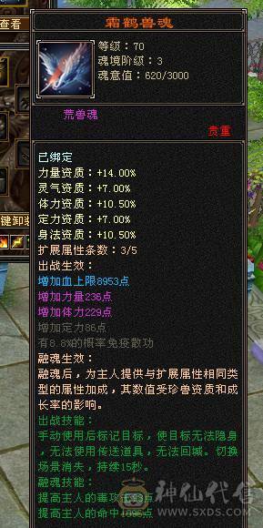 移动粉丝团：绝品.纯6.6带7属7命中.准6神1000+减.9.10雕文.纹刻.精绘6.6.无敌丹.红熊王.时装.4级配饰.月亮.万剑归宗.全齐.带高净化宝宝.近60W+血.5.5W+外功.7W+命中