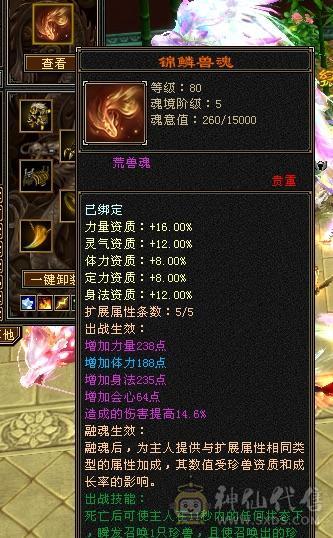 安然推荐 满6属性，细节双修卡机大天山  裸面板  墨玉麒麟  性价比高  