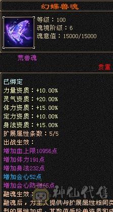 喜欢来议，高血少林。17颗6，6体6命带8雕。满5忽略、抗性。火玄双抗，杂抗100+抗死大部分。
