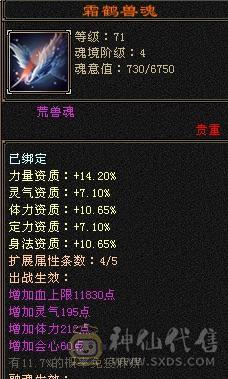 喜欢来议，高血少林。17颗6，6体6命带8雕。满5忽略、抗性。火玄双抗，杂抗100+抗死大部分。