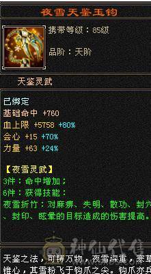 7体7属10雕文 千减 暴力天山