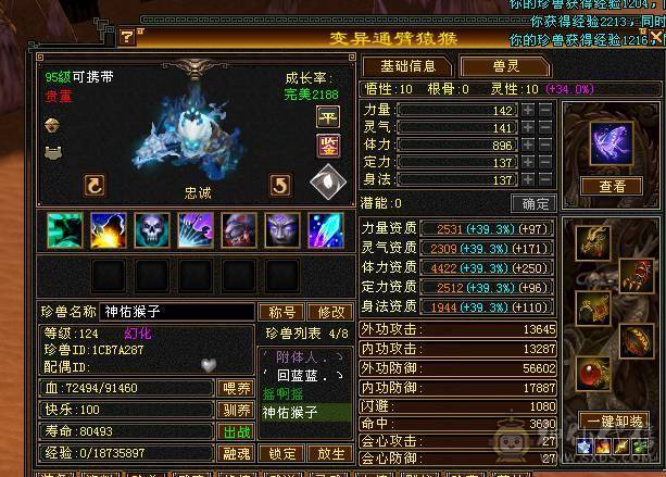 4修高减抗逍遥看面板说话，全或减抗1000+退游低价出号