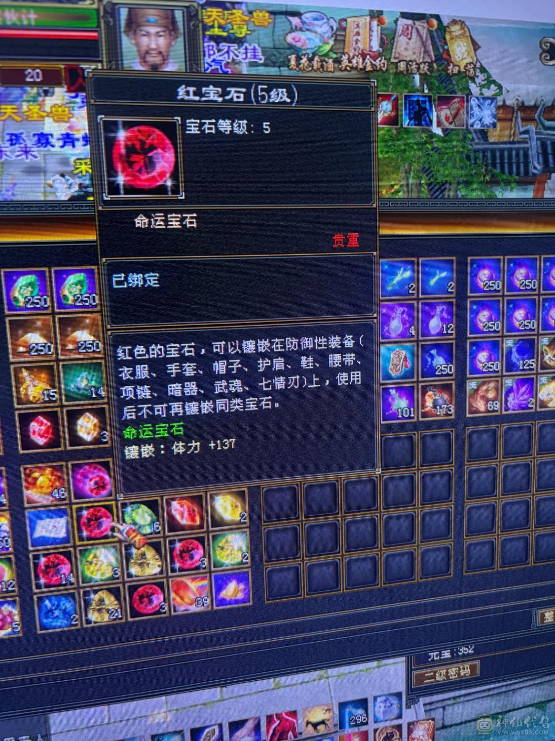 满5，3修气武当，能抗能打，仓库一套5级身法宝石，随意转换