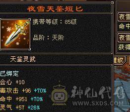 满五七雕5-0精绘周年坐骑雪猿紫霄霜星剑