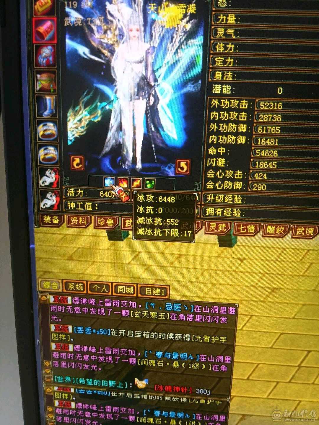 外观拉满，不清东西，石头扎实，宝宝26级兽灵。时装背饰幻视周年庆坐骑坐骑