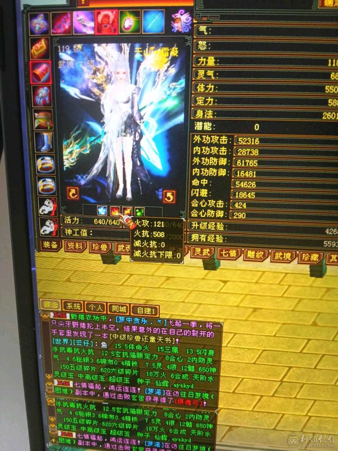外观拉满，不清东西，石头扎实，宝宝26级兽灵。时装背饰幻视周年庆坐骑坐骑
