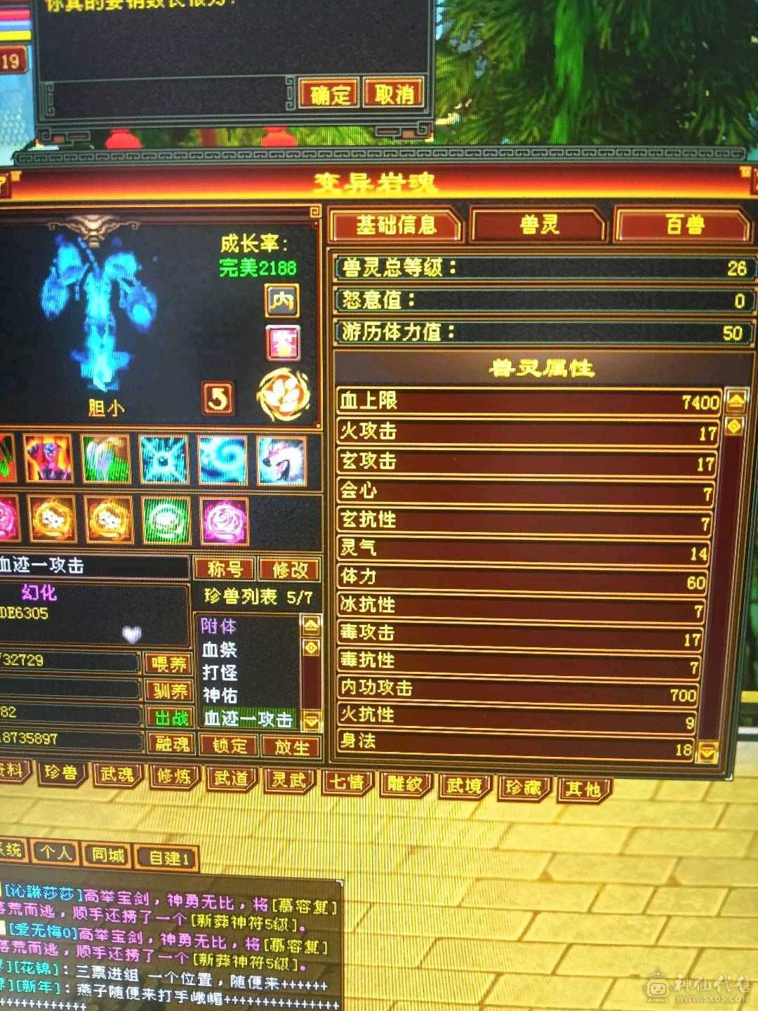 外观拉满，不清东西，石头扎实，宝宝26级兽灵。时装背饰幻视周年庆坐骑坐骑