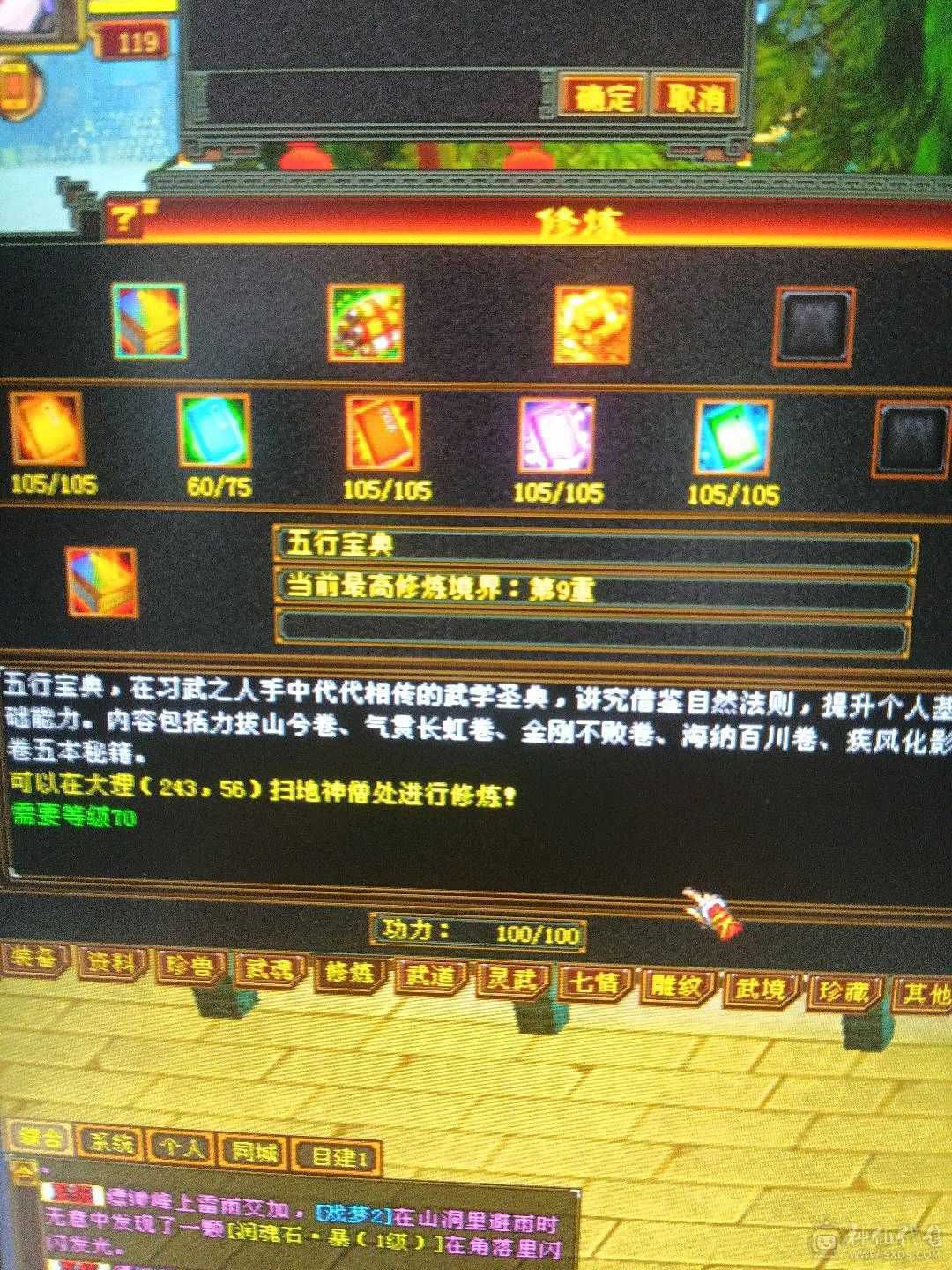 外观拉满，不清东西，石头扎实，宝宝26级兽灵。时装背饰幻视周年庆坐骑坐骑