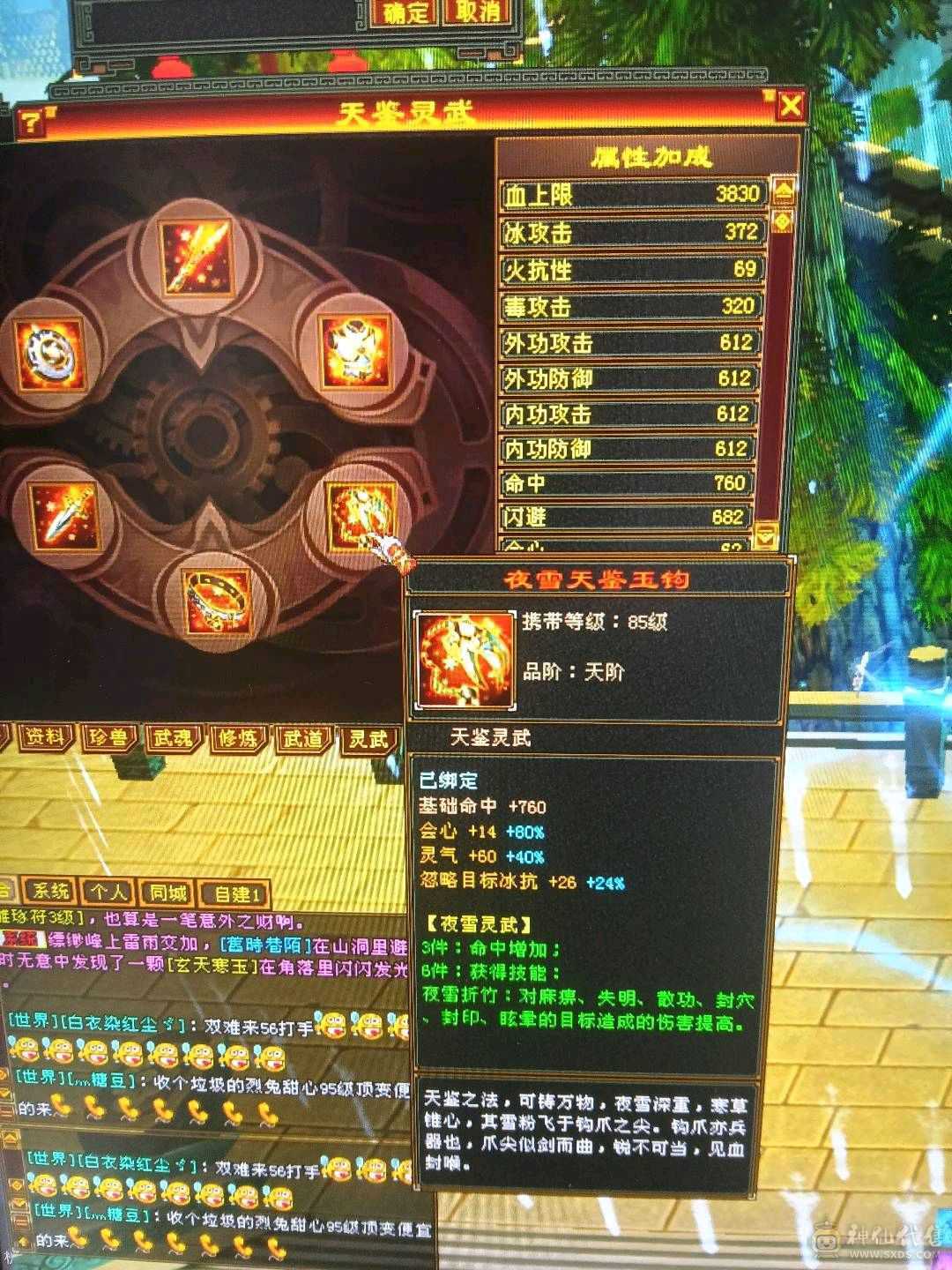 外观拉满，不清东西，石头扎实，宝宝26级兽灵。时装背饰幻视周年庆坐骑坐骑