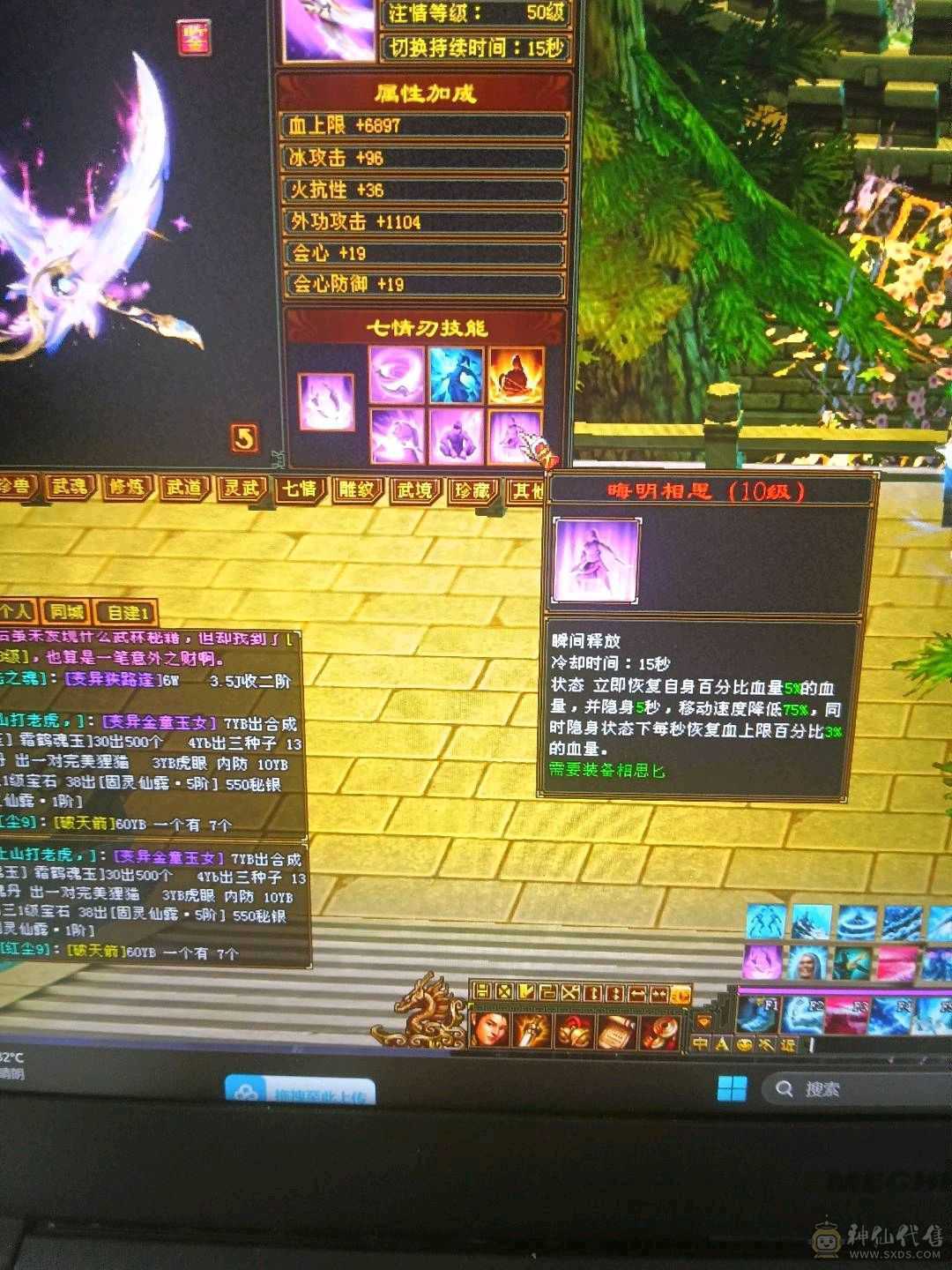 外观拉满，不清东西，石头扎实，宝宝26级兽灵。时装背饰幻视周年庆坐骑坐骑
