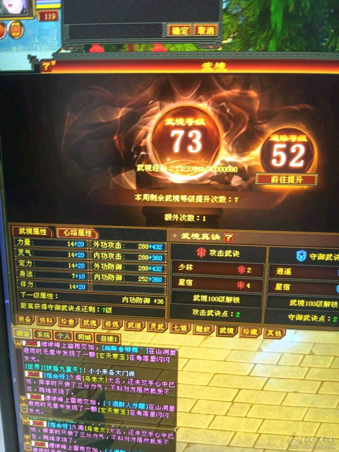 外观拉满，不清东西，石头扎实，宝宝26级兽灵。时装背饰幻视周年庆坐骑坐骑