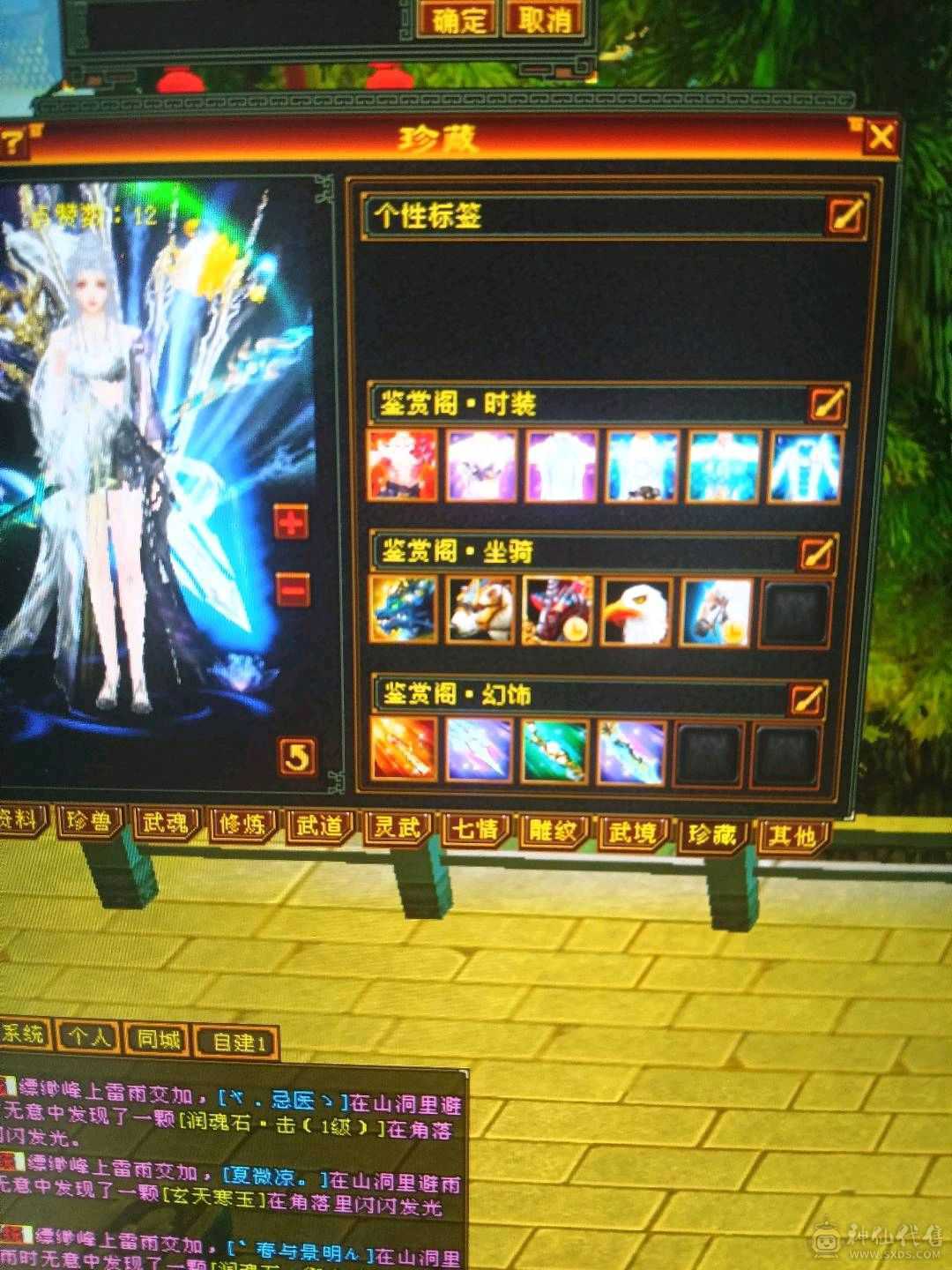 外观拉满，不清东西，石头扎实，宝宝26级兽灵。时装背饰幻视周年庆坐骑坐骑