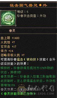《阳阳推荐》5带6 稀有时装  拼命10宝宝  5个宝宝 全带不清 退游出