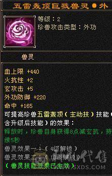 《阳阳推荐》5带6 稀有时装  拼命10宝宝  5个宝宝 全带不清 退游出