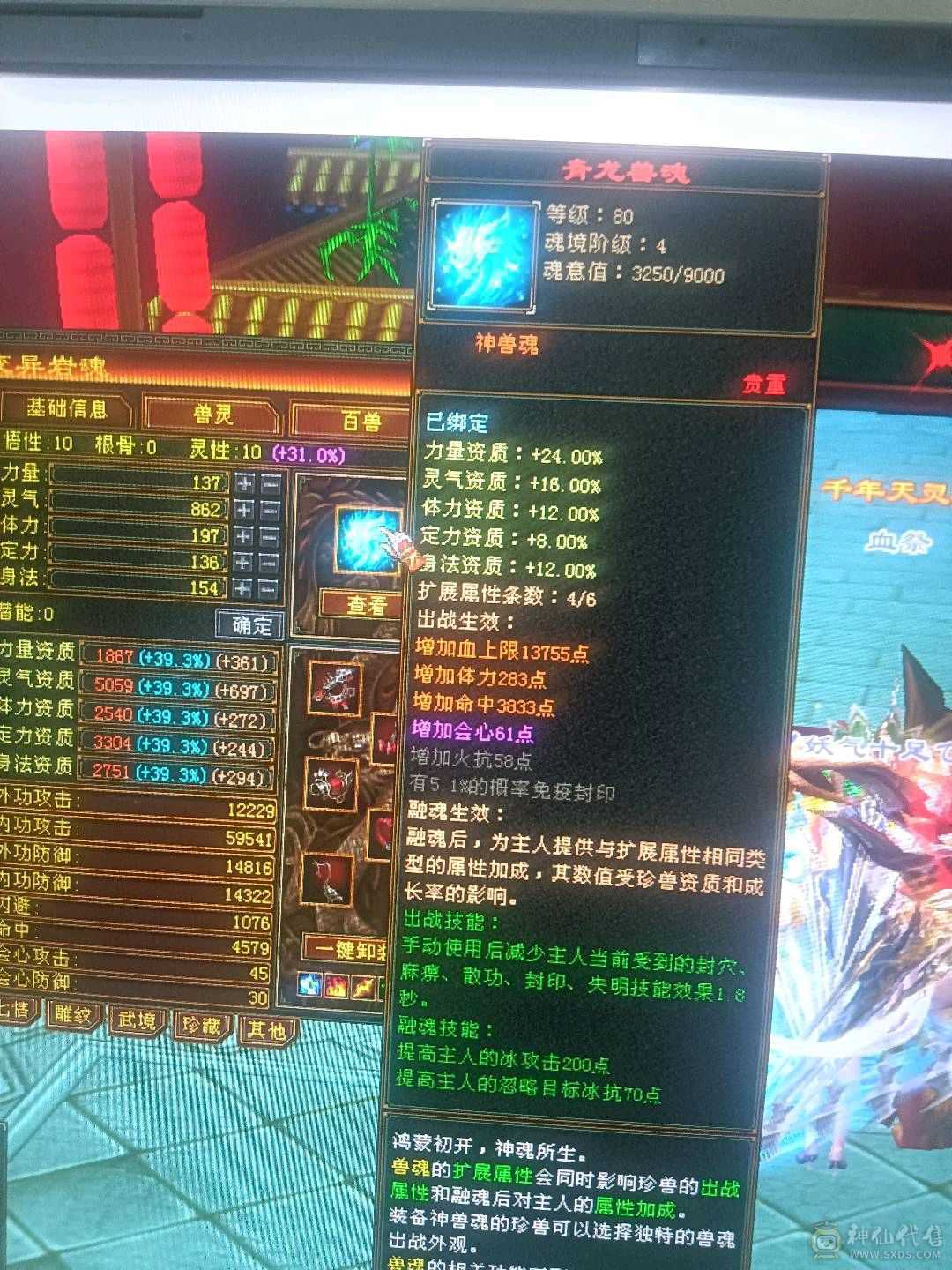 外观拉满，不清东西，石头扎实，宝宝26级兽灵。时装背饰幻视周年庆坐骑坐骑