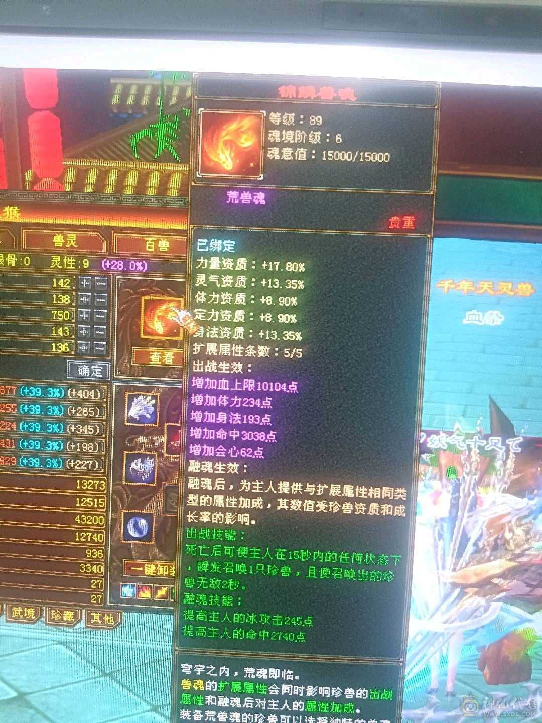 外观拉满，不清东西，石头扎实，宝宝26级兽灵。时装背饰幻视周年庆坐骑坐骑