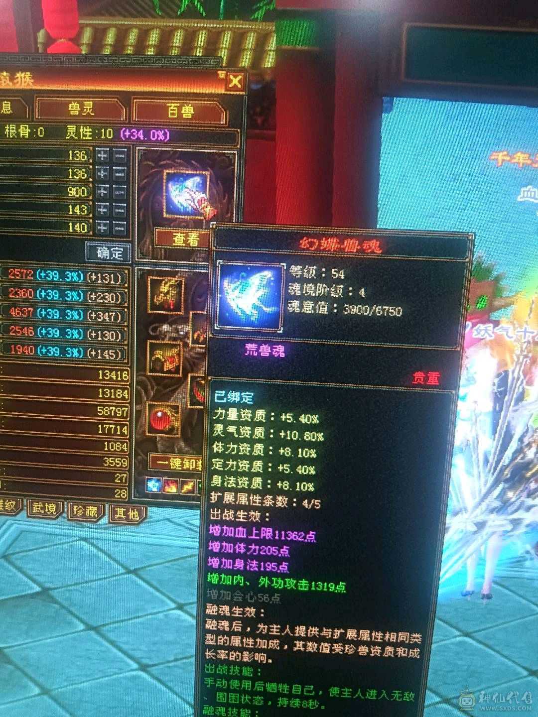 外观拉满，不清东西，石头扎实，宝宝26级兽灵。时装背饰幻视周年庆坐骑坐骑