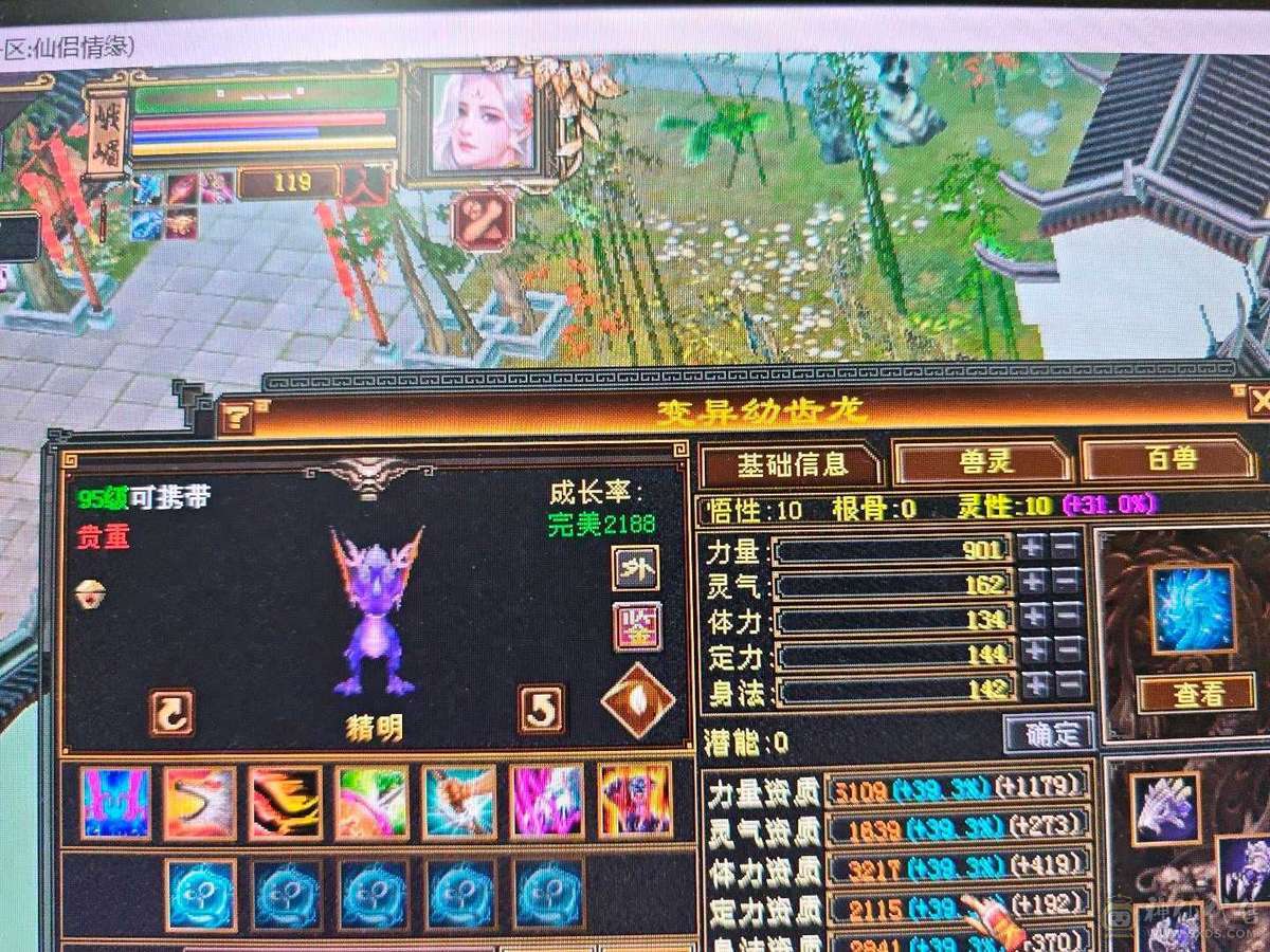 6级无敌丹天山，500多会心，6万命中，带外功宝宝和体力宝宝，暴力值拉满。