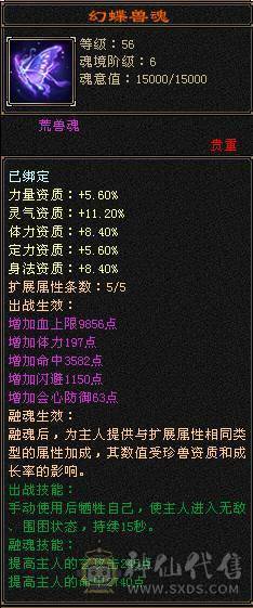 高血高抗、10级盟会、多时装多幻视、5神6荒、玄武朱雀稀有魂录