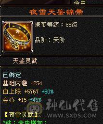 『阿伟•推荐』6挂7 六神三修三减千减天山裸属性8200，45万血，6只坐骑 顶级外观时装40多件 ，幻视（都满级）带骨翼