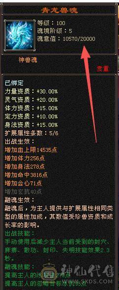 移动粉丝团：绝.帅.满6体6属6命中6身法.准6神.三修.满8雕.双10盟会.纹刻.精绘6.6随时升7.双限定坐骑.黄金甲.35件时装.紫宵剑.7把幻世.万剑归宗配饰.双神外观.7级都是一套滴滴滴滴.